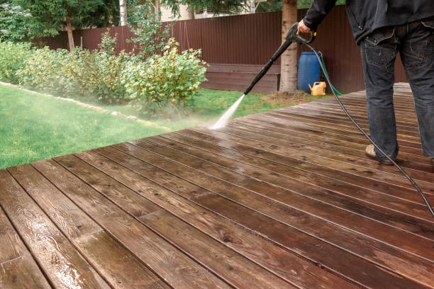 Best Roof Washing  in Mount Dora, FL